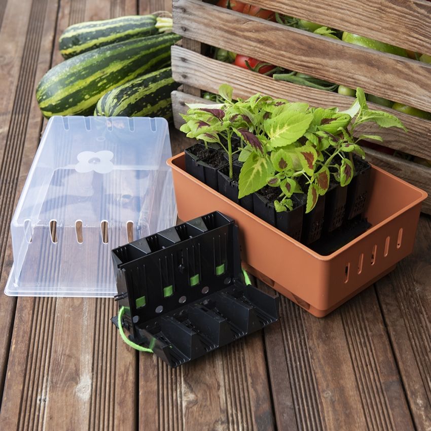 Rootmaster ett kompakt minidrivhus som gör det möjligt att odla 32 plantor 