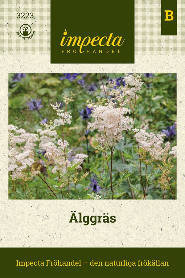 Älggräs | Medicinalväxter | Filipendula ulmaria