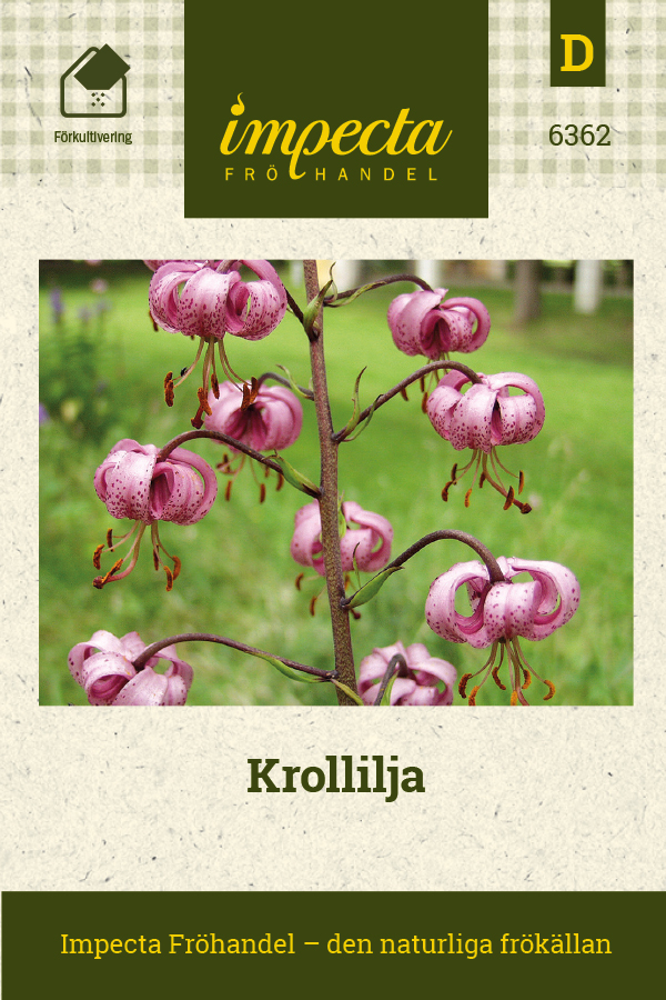 Krollilja | Perenner | Lilium martagon