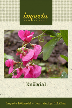 Möss för jordnära