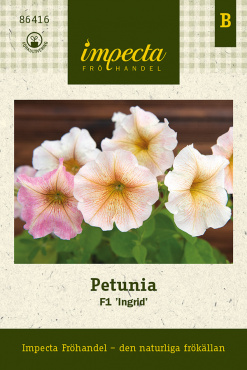 Stäm träff med Ingrid