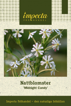 Sommarnattens sötsak