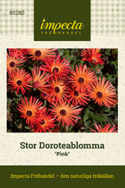 Gnistrande guldglans