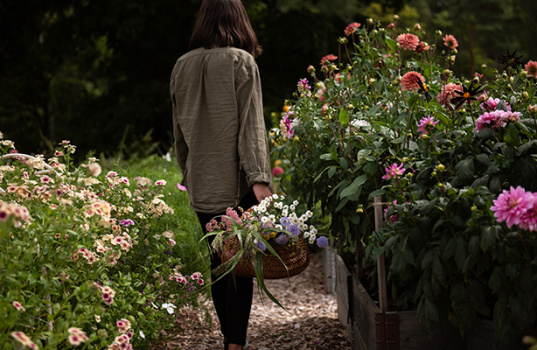 Så undviker du de vanligaste misstagen som snittblomsbonde