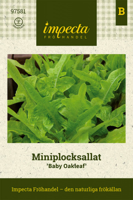 Gröna penseldrag