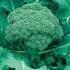 17. Broccoli