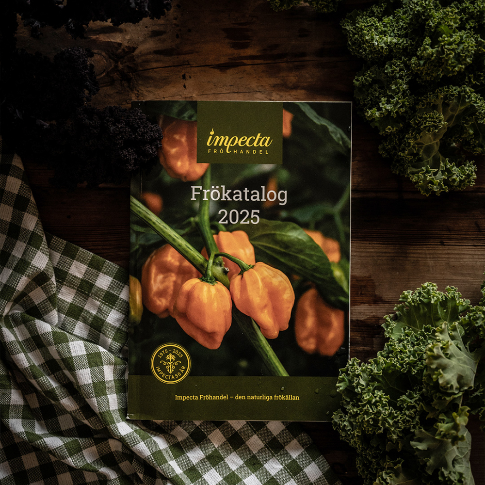 Impecta frökatalog 2023
