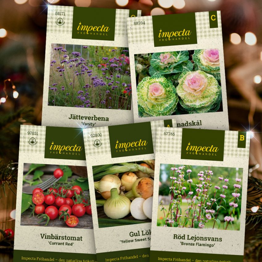 Ge bort en fröklapp som julklapp