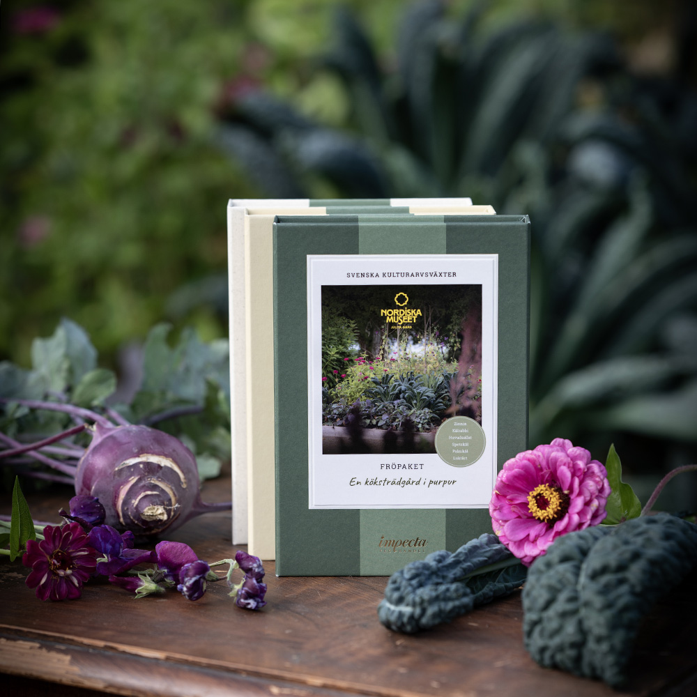 En köksträdgård i purpur