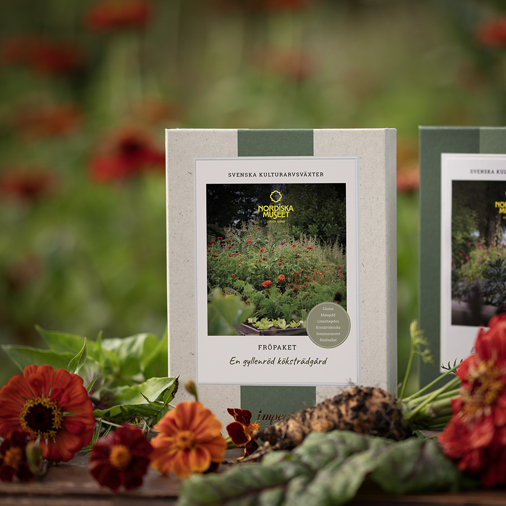 En gyllenröd köksträdgård