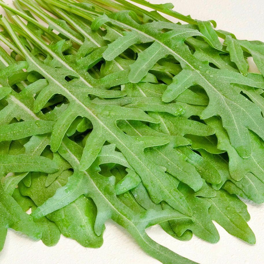 Italiensk rucola, Finflikiga blad i täta rosetter. Intensiv och pepprig smak