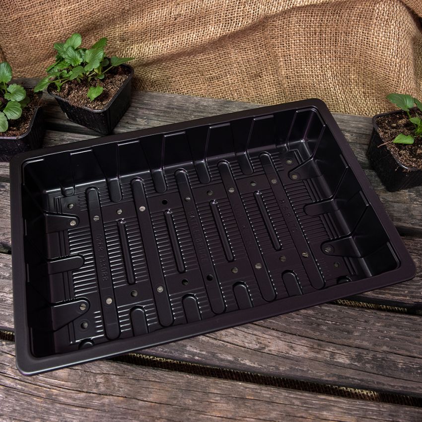 Tråg med hål 5-pack för bredsådd eller uppdrivning av sticklingar och småplantor