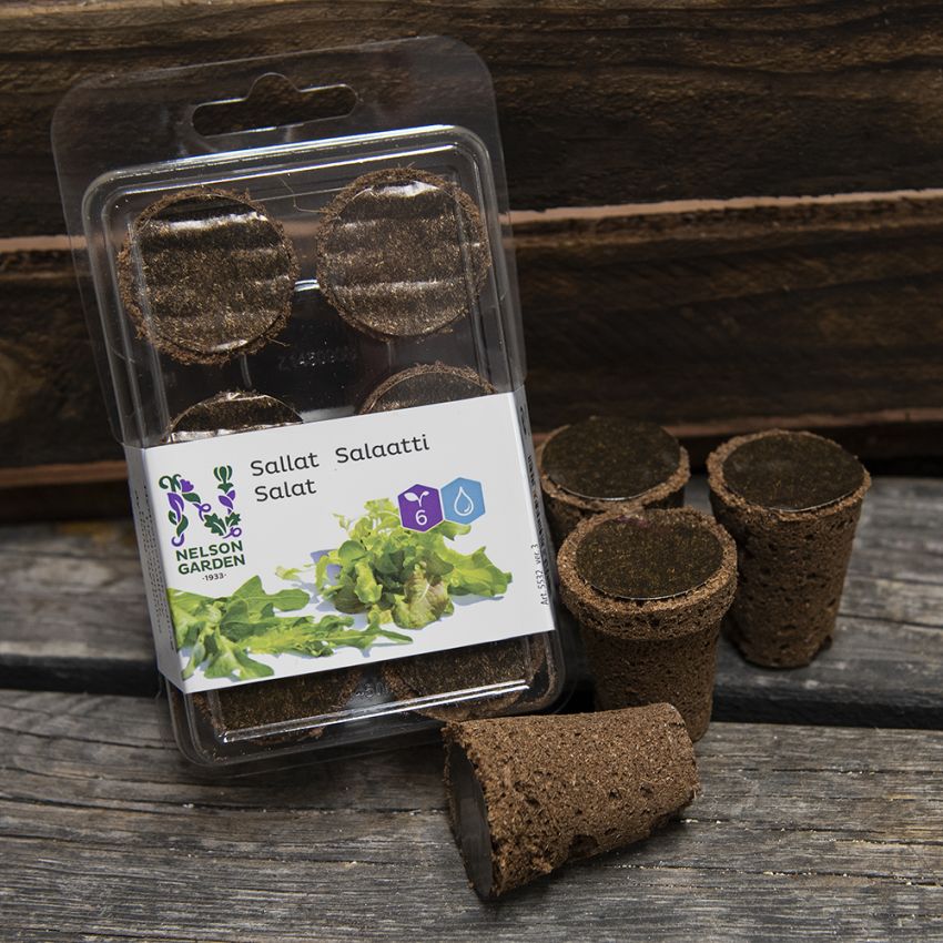 Hydroponisk odlingsplugg Sallat 'Lollo Rossa' & 'Cerbiatta'