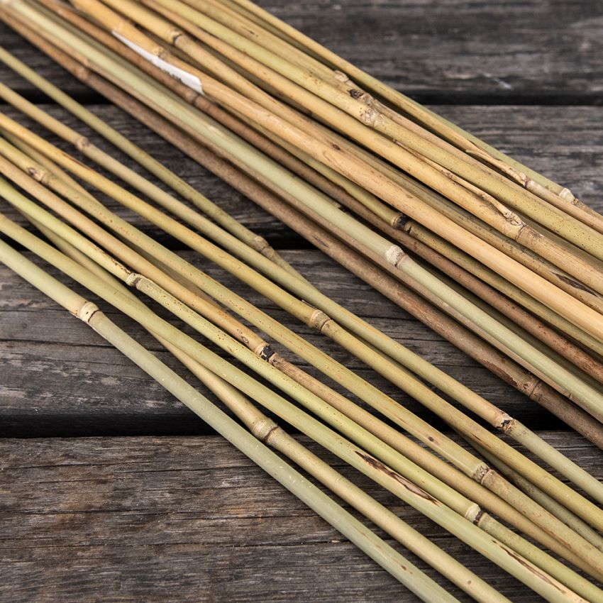 Stabila blompinnar i bambu att använda till växter som behöver stöd. 