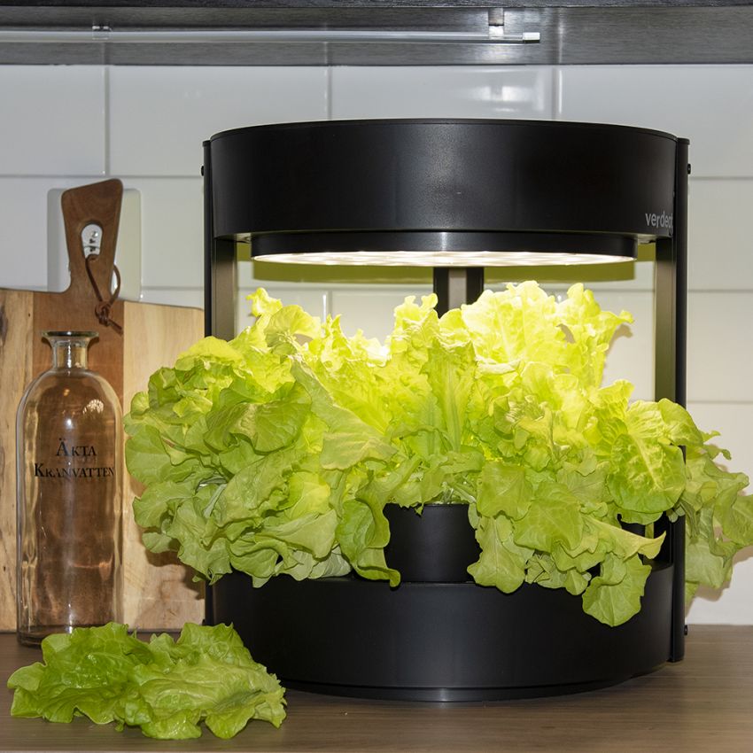 Verdeat Liten, Odlingsstation i för hydroponisk odling av bladgrönsaker.