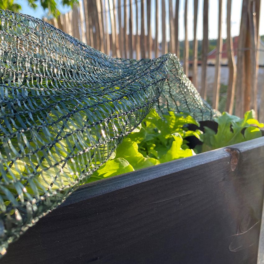Skuggnät 10 kvm, grovmaskigt nät som skyddar växterna mot stark sol
