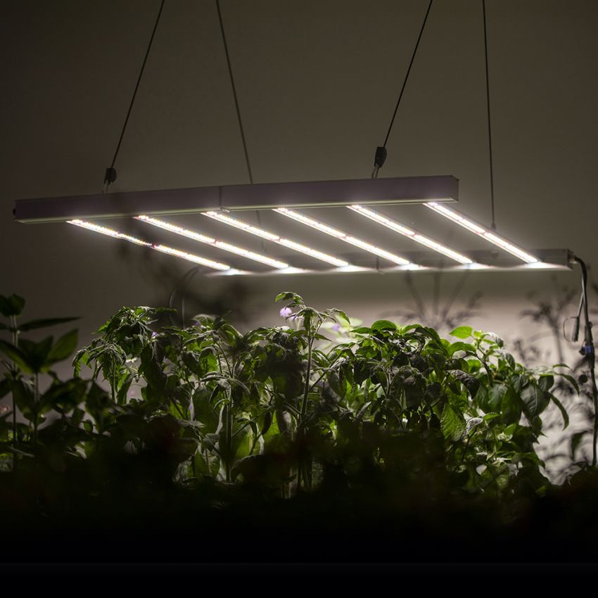 LED-armatur växthus 110x110 cm 480 W för växthus eller odling med lägre takhöjd