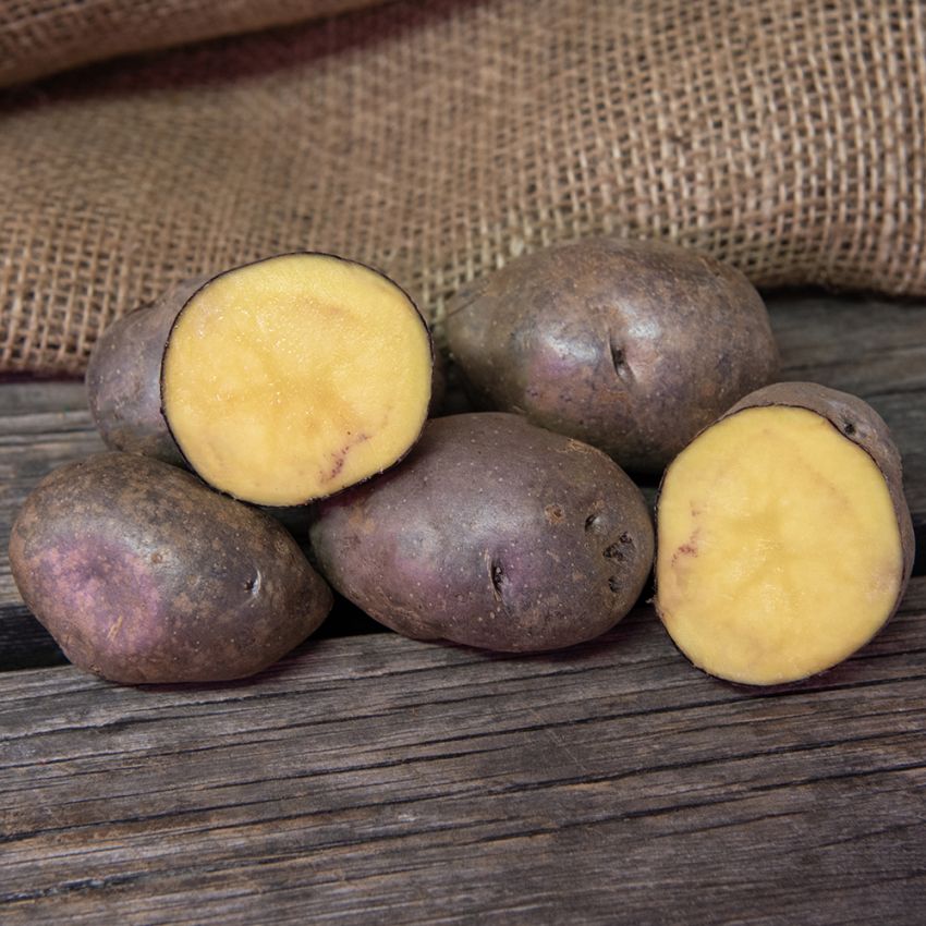 Sättpotatis ''''''''''''''''Blå Mandel'''''''''''''''' 1 kg, Mjölig potatis, sen