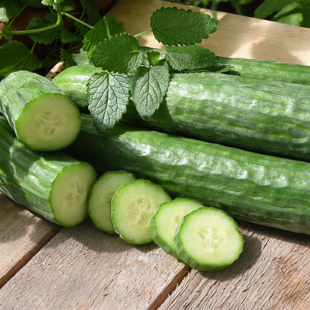 Växthusgurka F1 'Cordoba', Mörkgröna, lätt räfflade frukter med litet kärnhus.