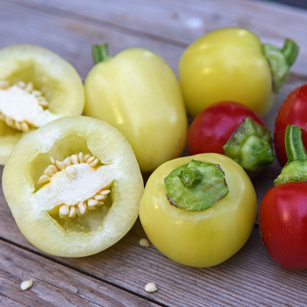 Tomatpaprika Ontara, Tomatliknande, lätt hjärtformade vita frukter, 