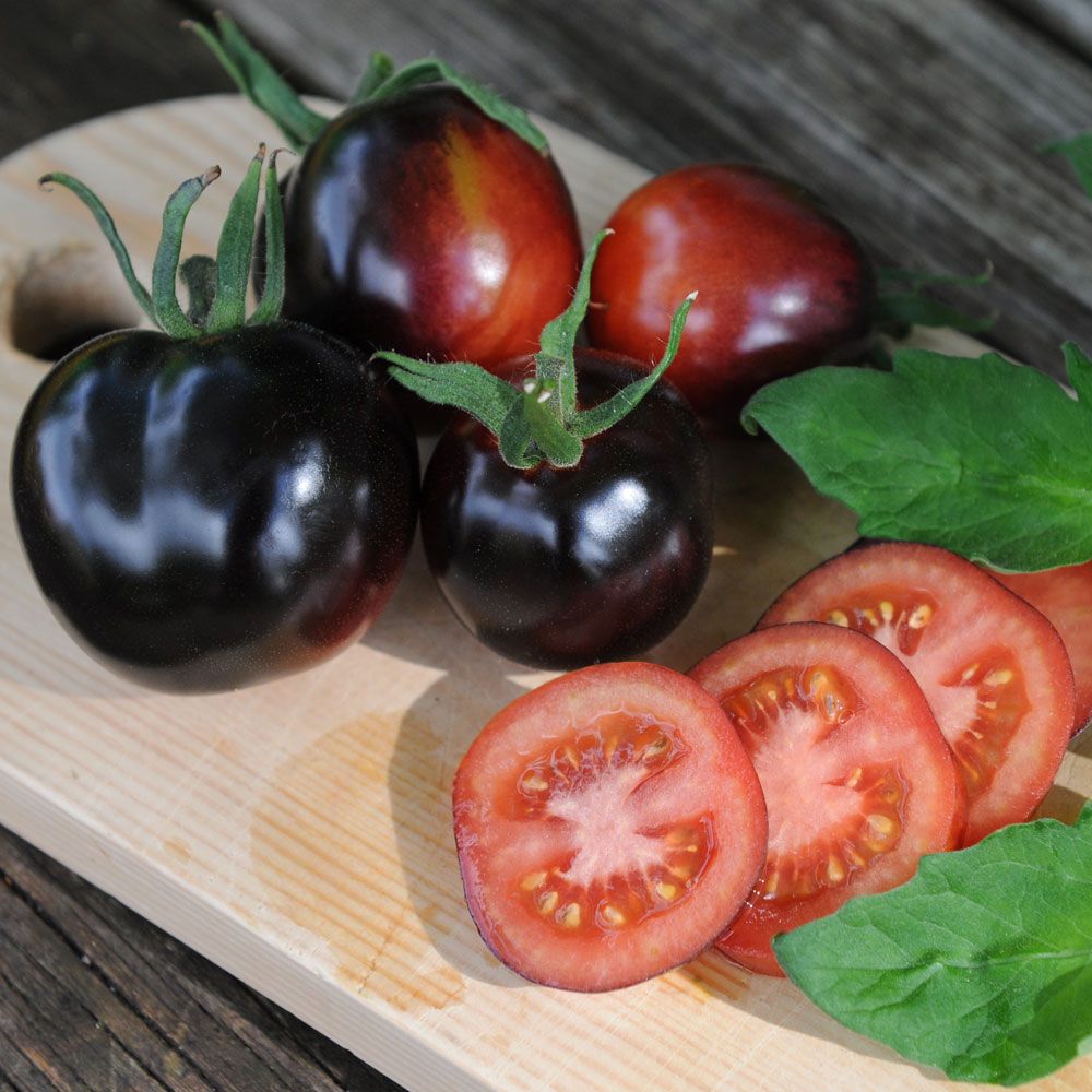 Tomat 'Indigo Rose', röda tomater som vid mognad över till svart, röd insida
