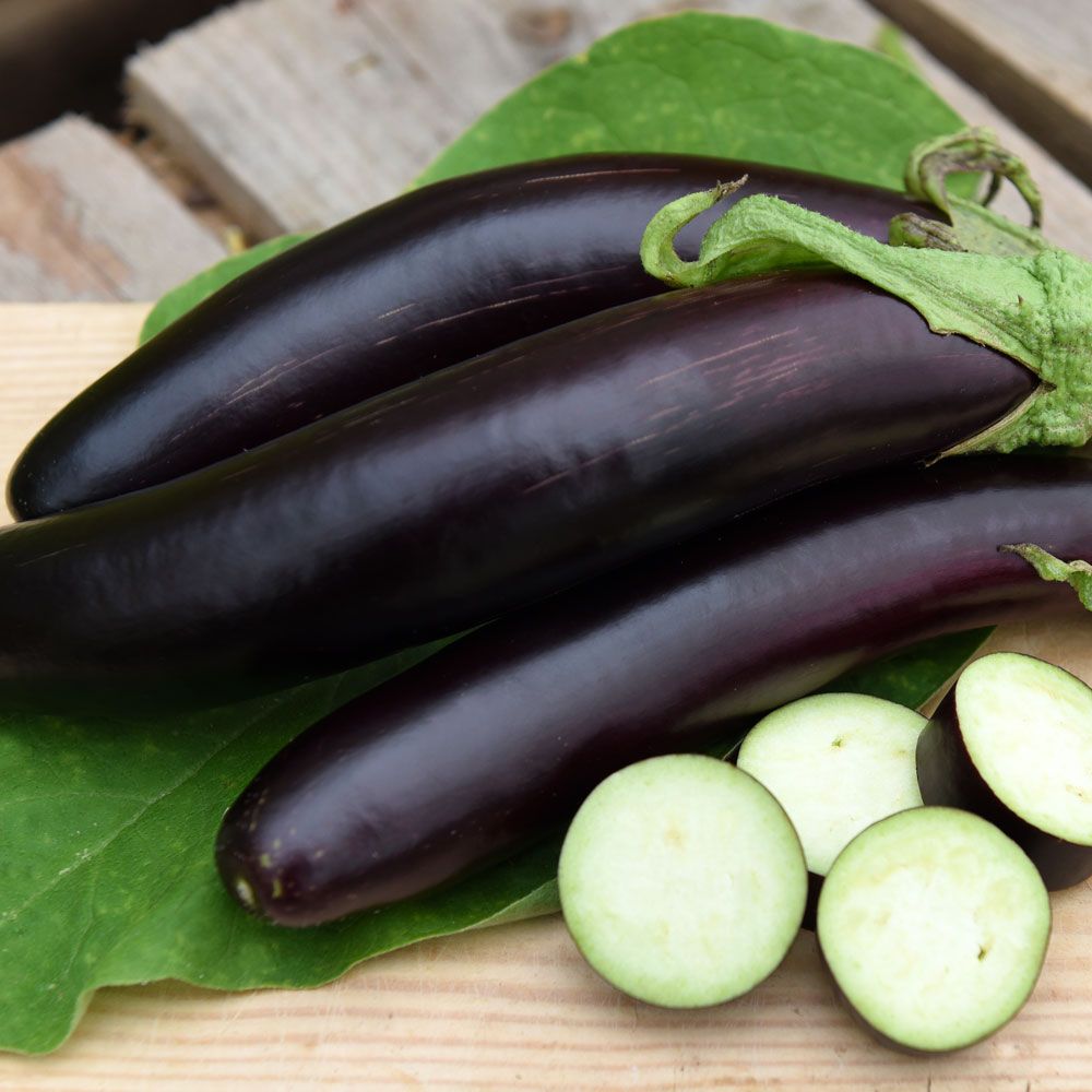 Aubergin 'De Barbentane' purpursvar grönsak med 20 cm långsmala frukter