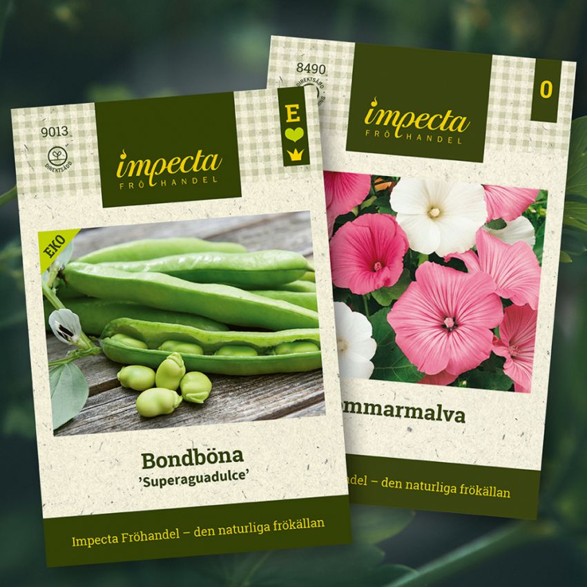Bondböna & Sommarmalva i gruppen Sara Bäckmo - Samplantera blommor och grönsaker hos Impecta Fröhandel (H1005)