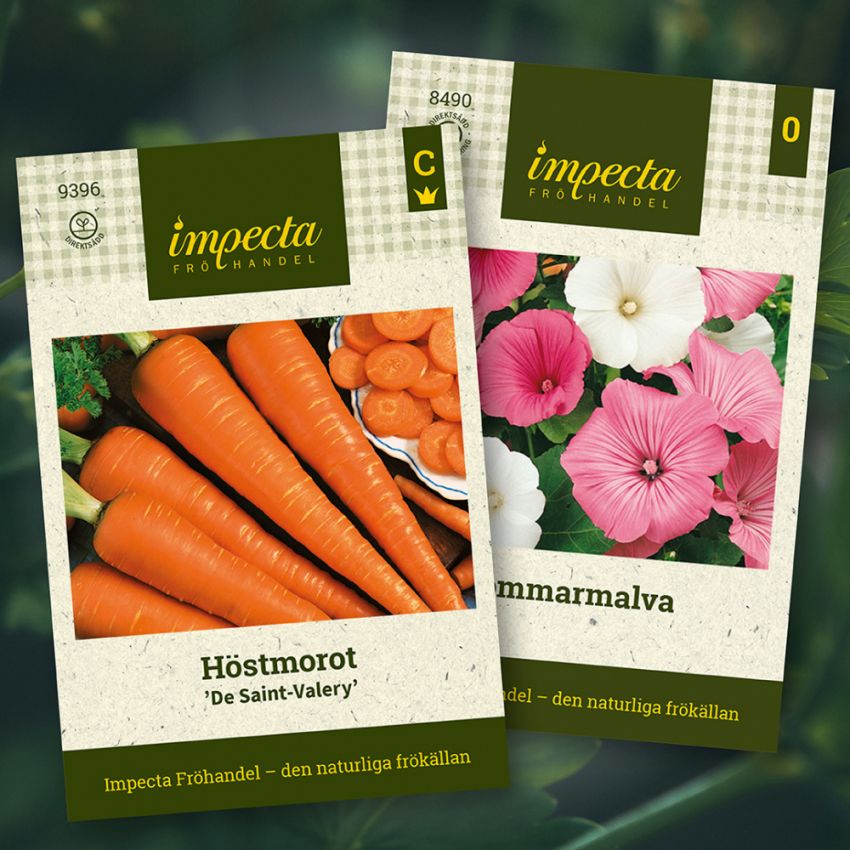 Morot & Sommarmalva i gruppen Tips / Sara Bäckmos favoriter / Sara Bäckmo - Samplantera blommor och grönsaker hos Impecta Fröhandel (H1007)