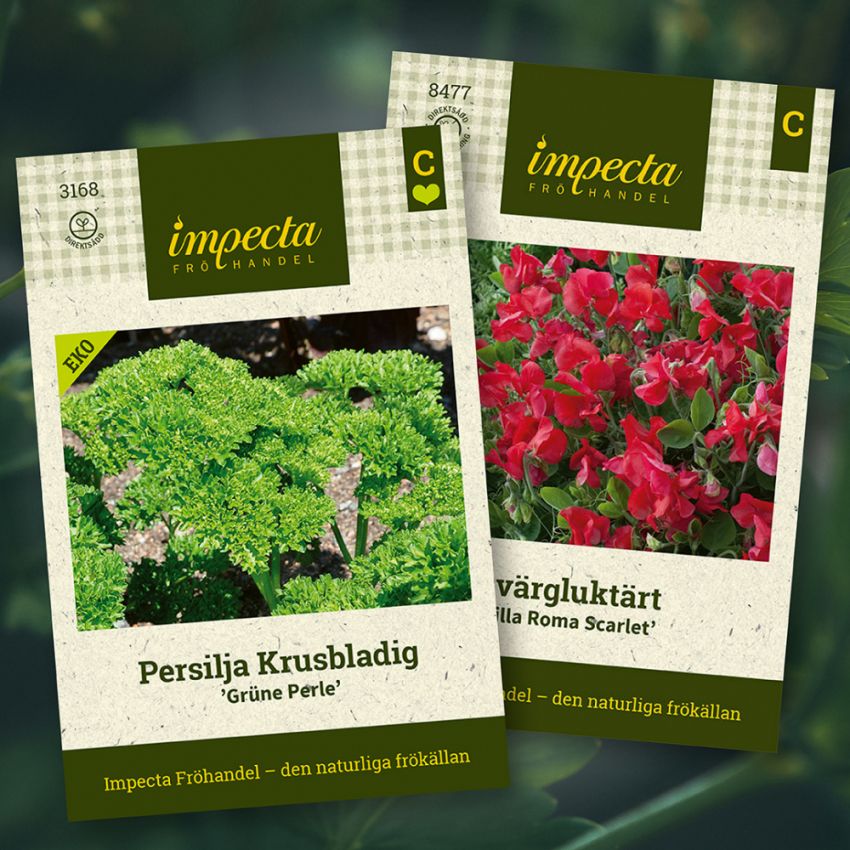 Persilja & Dvärgluktärt i gruppen Sara Bäckmo - Samplantera blommor och grönsaker hos Impecta Fröhandel (H1008)