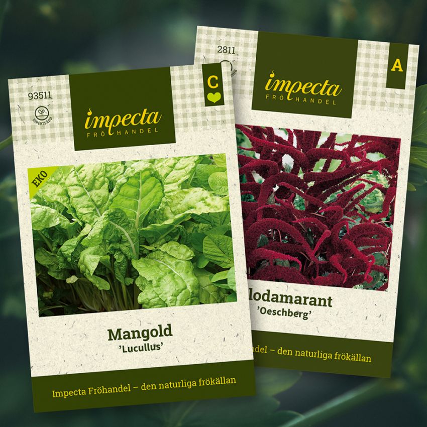 Mangold & Amarant i gruppen Tips / Sara Bäckmos favoriter / Sara Bäckmo - Samplantera blommor och grönsaker hos Impecta Fröhandel (H1011)