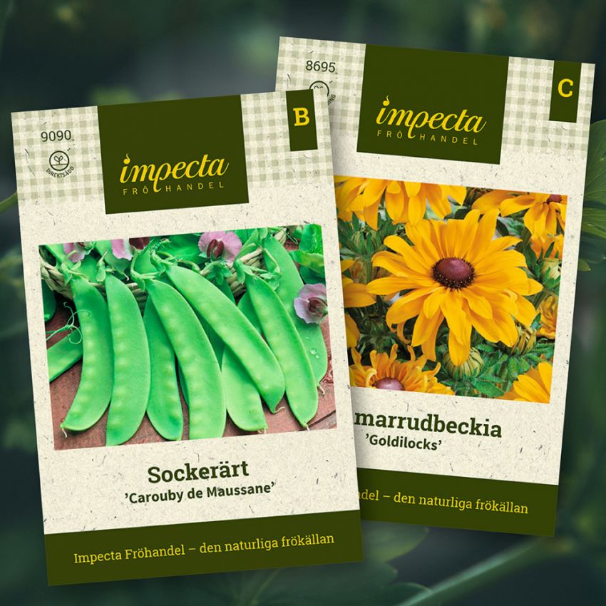Sockerärt & Sommarrudbeckia i gruppen Sara Bäckmo - Samplantera blommor och grönsaker hos Impecta Fröhandel (H1017)