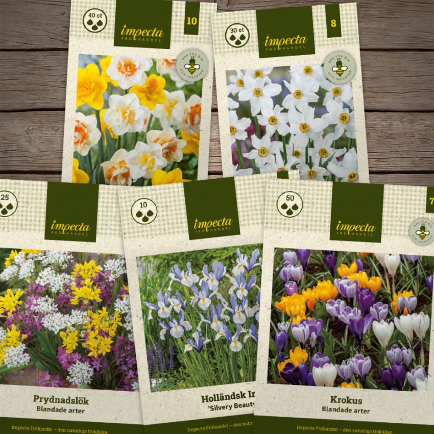 Temapaket vårblommande lök: Blommor för insekter