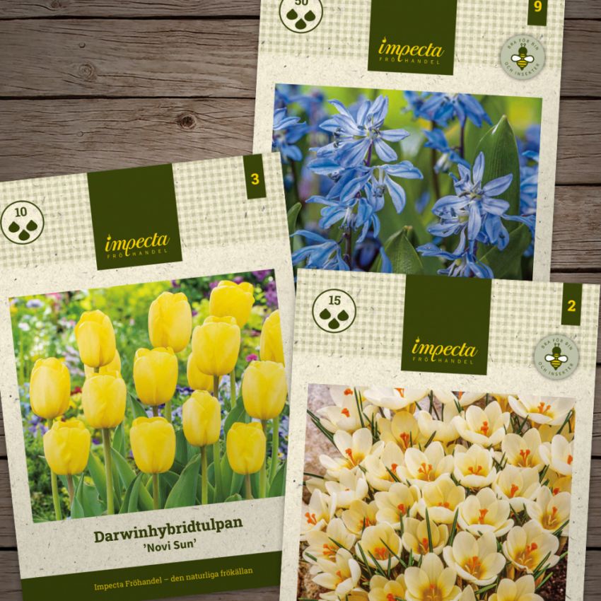 Lasagneplantering i gruppen Lökar & Knölar / Vårblommande lökar & knölar / Temapaket lökar hos Impecta Fröhandel (H1024)