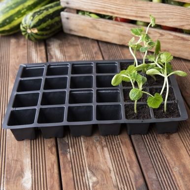 Plantbrätte 24 celler 5-pack