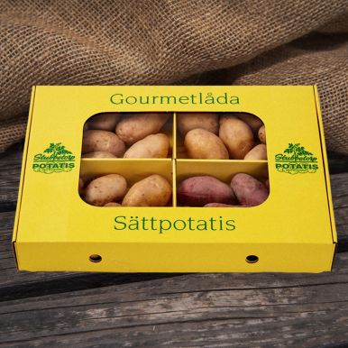 Sättpotatis 'Gourmetlådan'