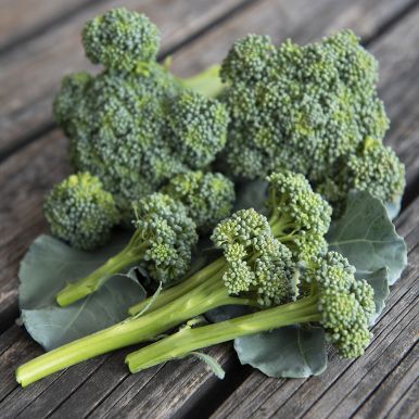 Broccoli F1 'Hirzia'