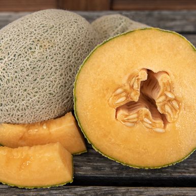 Nätmelon 'Hale's Best Jumbo'