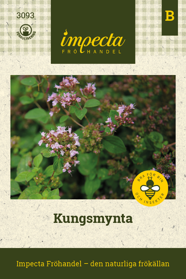 Kungsmynta | Kryddväxter | Origanum vulgare | Impecta