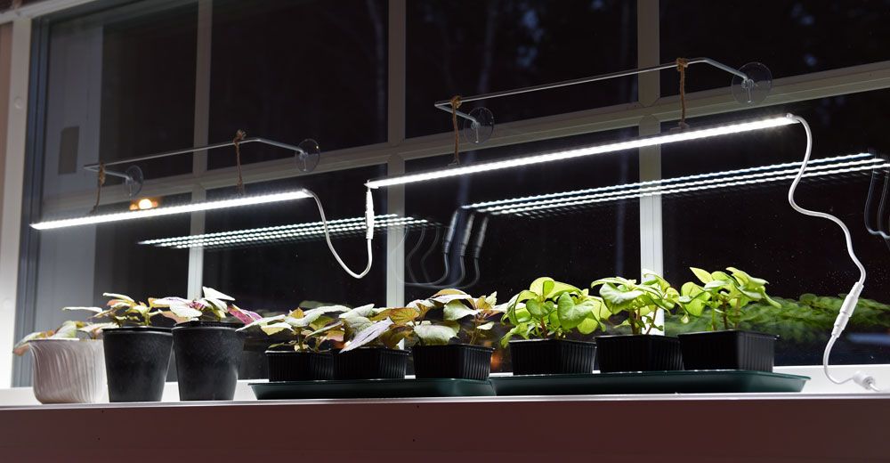 V xtbelysning LED No.2 60 cm 15 W Tillbeh r V xtbelysning