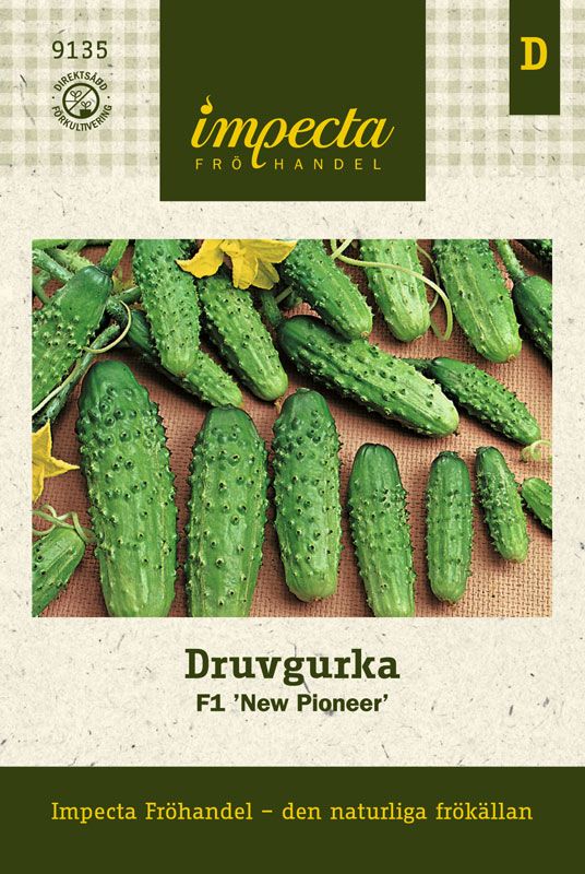 Druvgurka Grönsaksväxter Cucumis sativus F1 'New Pioneer'
