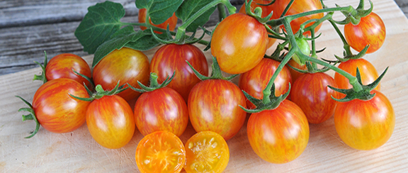 Fröer till gula tomater