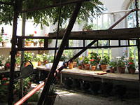 Orangeriet