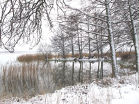 December 2012