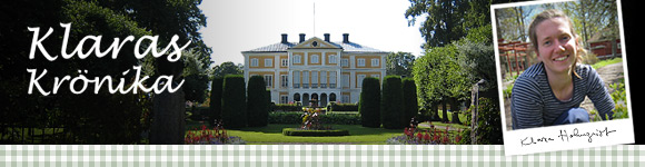 Klaras Krönika