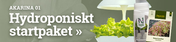 Akarina 01 Hydroponiskt startpaket