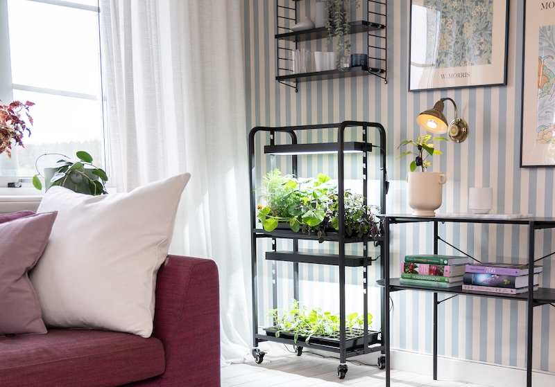Odlingsvagn med LED lampa inomhus