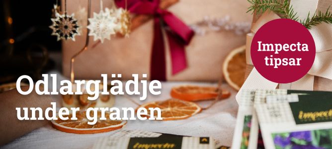 Julklappstips