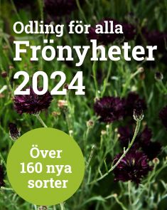 Frönyheter 2024