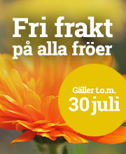 Fri frakt på fröer!