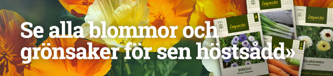 Blommor och grönsaker för höstsådd